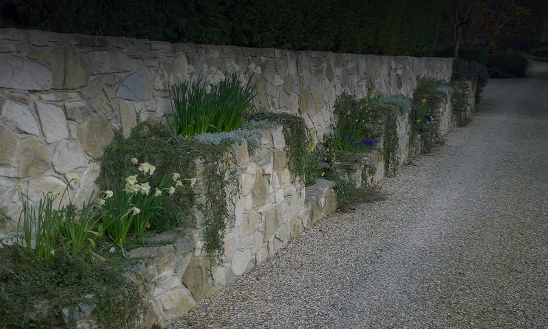 AQUATIC & LANDSCAPE SPECIALISTS